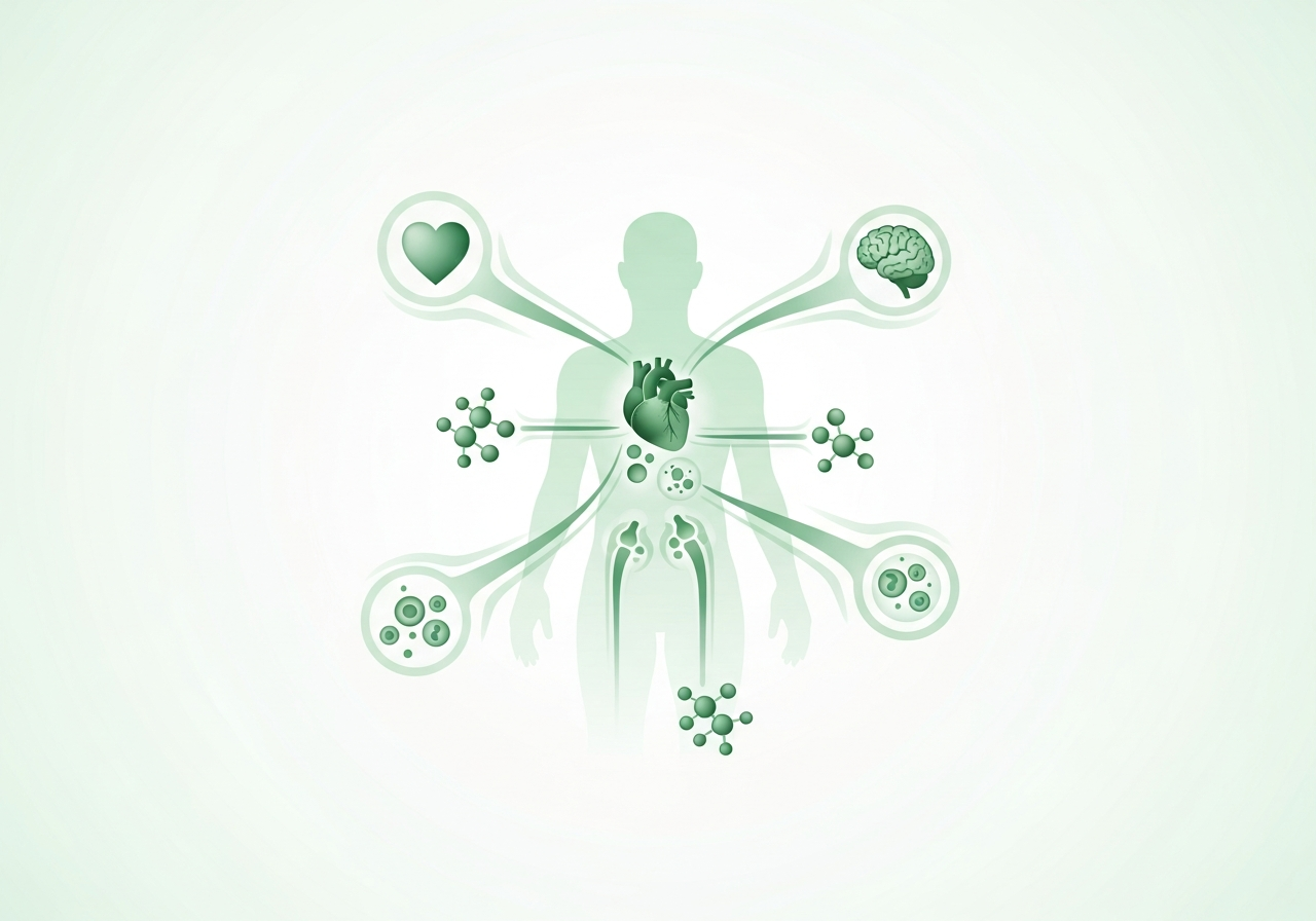 Illustration of how wellness & supplements treatment works in the body